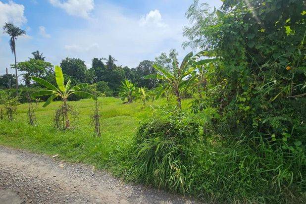 Tanah Pantai Nyanyi Beraban Kediri Tabanan Bali