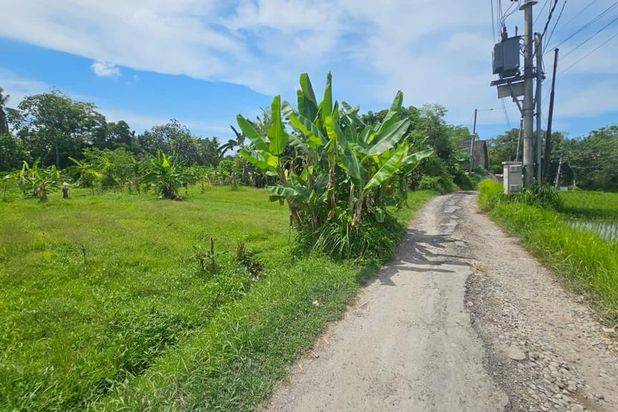 Tanah Pantai Nyanyi Beraban Kediri Tabanan Bali