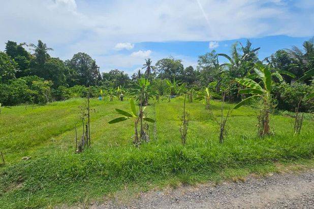 Tanah Pantai Nyanyi Beraban Kediri Tabanan Bali