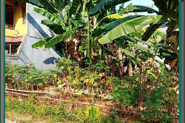 Dijual Tanah Kavling di Beji Timur, Depok