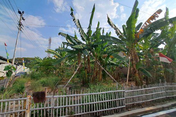 DI JUAL TANAH SMH BLULUKAN COLOMADU KARANGANYAR DEKAT HOTEL ALANA