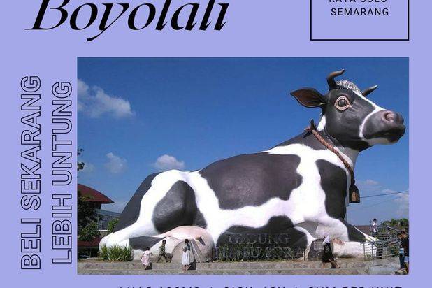 DI JUAL TANAH MOJOSONGO BOYOLALI 2 MENIT RS INDRIYATI BOYOLALI