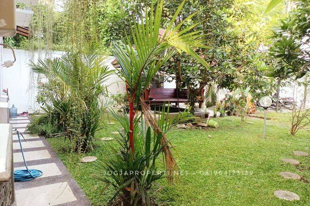 Rumah Mewah Full Furnished 2 lantai Asri Halaman Luas di Tajem