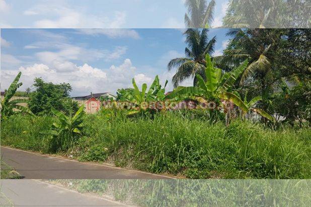 Dijual Tanah Kavling Bojanegara Purbalingga (PW000932)