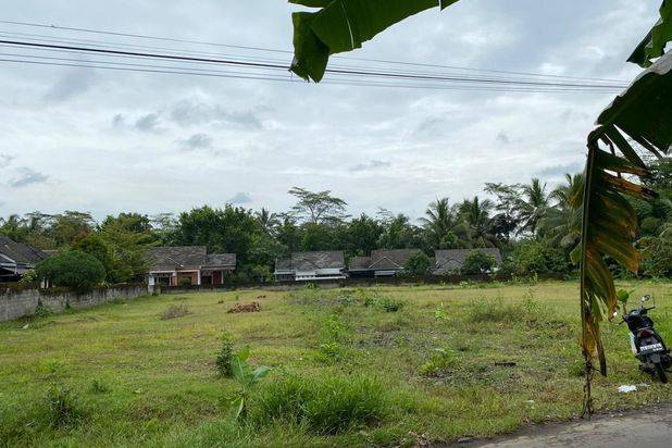 TANAH KAVLING LUAS HARGA TERJANGKAU DI BOROBUDUR