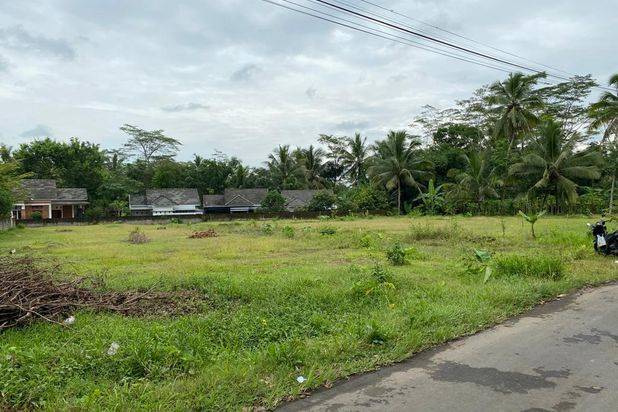 TANAH KAVLING LUAS HARGA TERJANGKAU DI BOROBUDUR