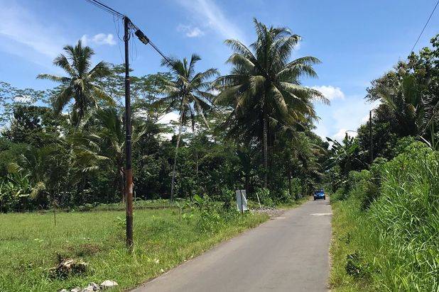 TANAH KAVLING LUAS HARGA TERJANGKAU DI BOROBUDUR
