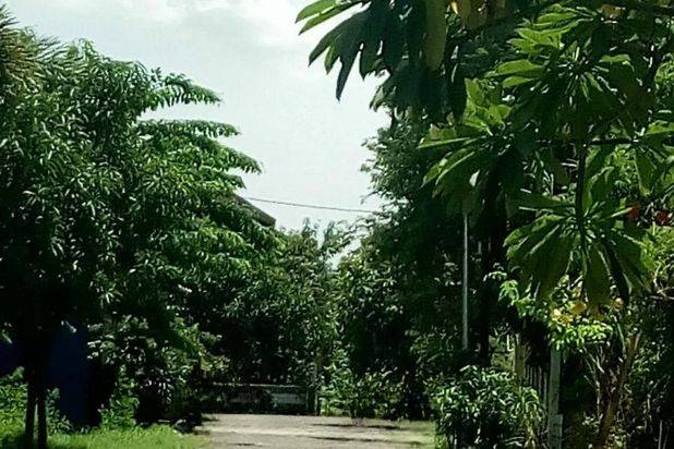 Sidosermo PDK Murah Semi furnish dekat Jemursari, Margorejo