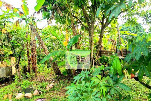 Rumah Murah dengan Tanah Luas, Kampung Bulang, Tanjungpinang