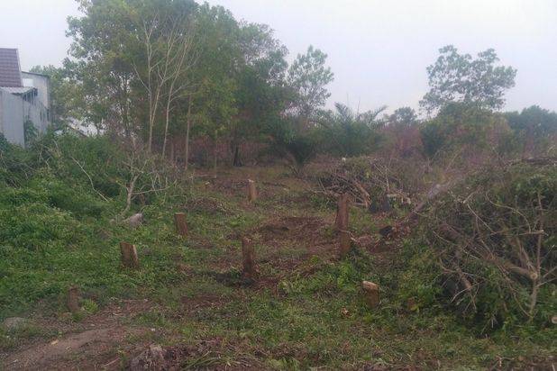 Dijual Tanah Murah,Jalan Karanggan Palangkaraya