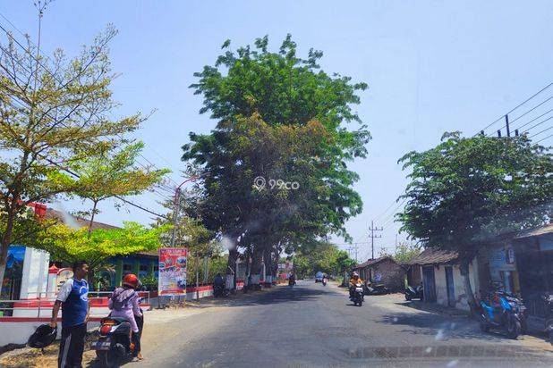 Dijual Tanah Dekat UNESA Kampus Magetan SIap Bangun dan Akses Mudah 1 Jutaan