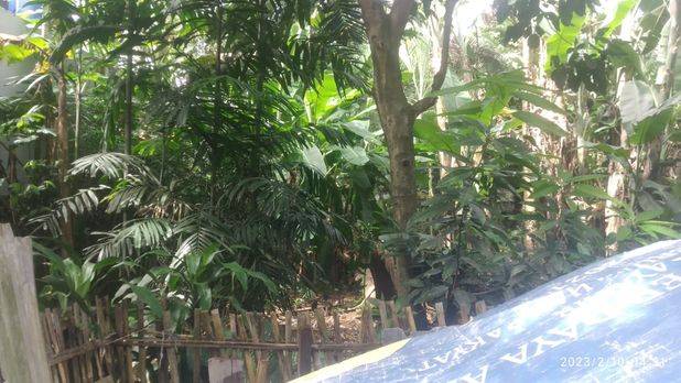 5 Menit Stan Bonsai Graha Prima Tanah Kavling Murah 