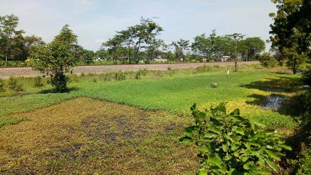 Dijual cepat tanah di Raya kediri