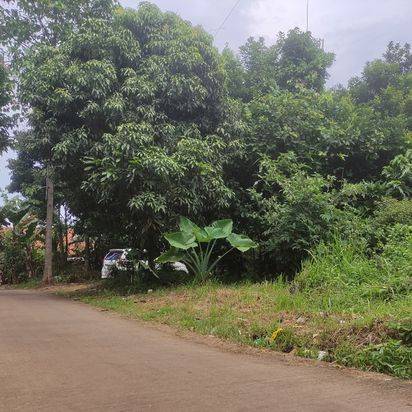 Tanah Cileungsi Bogor Di Jalan Raya Mampir Lokasi Terbaik 