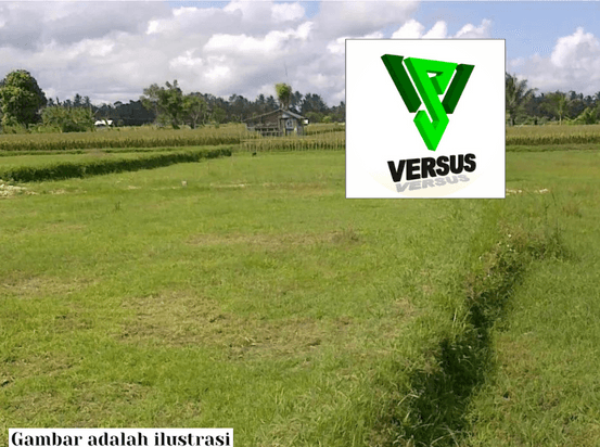 4jt/m Tanah Osowilangun | Margomulyo Kalianak Manukan Tanjungsari