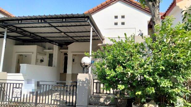 Rumah Alam Hijau Citraland Disewakan Murah