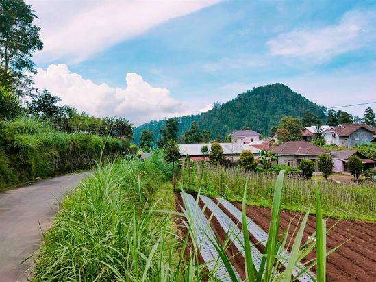 Dijual Tanah 240m2 Tawangmangu
