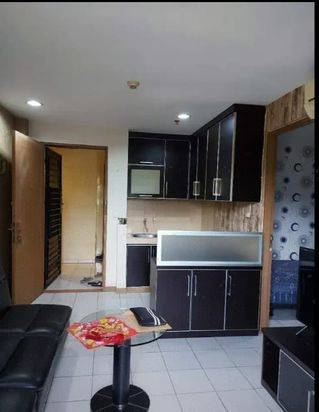 Apartment Palm Mansion (2 BR)