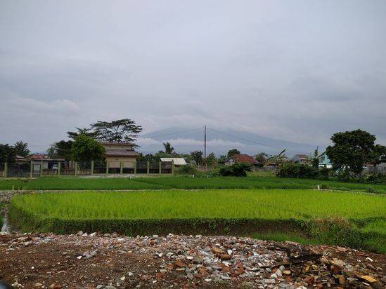 Tanah Murah Dramaga Dekat Kampus IPB