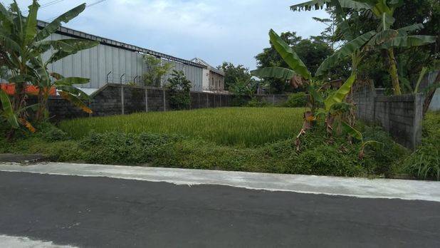 Tanah Sleman Murah, 15 Menit pakuon Jogja: LD 14 m 
