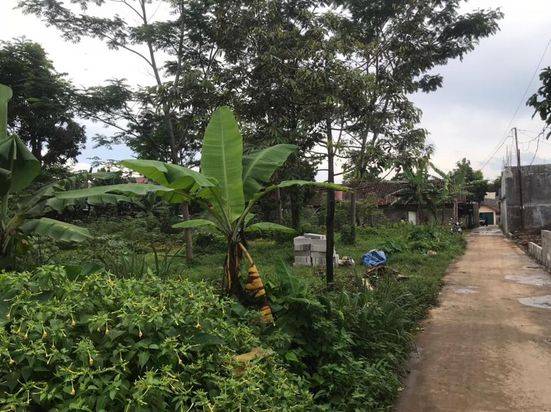 Dijual Tanah SHM Cibinong Bogor, Akses Mobil Dekat Jalan Raya Karadenan