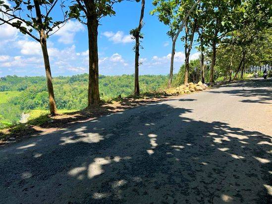 Dijual Tanah 20 Hektar Tepi Jalan Raya Kerjo Ngargoyoso Karanganyar