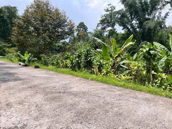 Jual Tanah 867m2 Dekat Sungai Kemuning Ngargoyoso Karanganyar