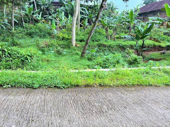 Jual Tanah Dekat Sungai Pegunungan Kemuning