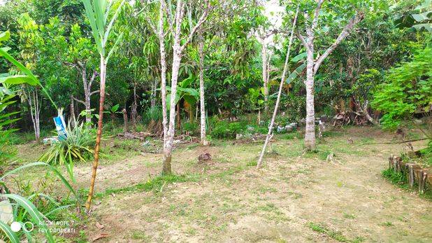Jual Cepat Rumah dan Luas Tanah 560 m2 Lokasi Bertam dekat SAT Brimob Jambi