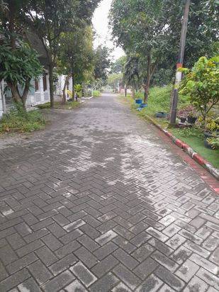main picture