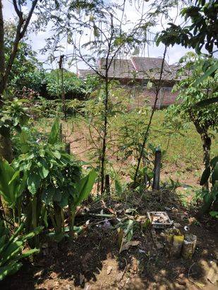 Edisi BU Tanah Kavling Super Murah Strategis di Landungsari Malang 