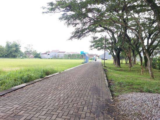 Tanah Luas Murah Strategis Cocok Untuk Rumah atau Sawah di Lowokwaru Malang