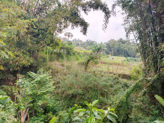 Edisi BU Tanah Murah Strategis di Toyomerto Kota Batu 