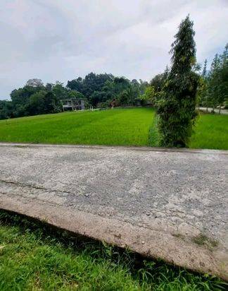 SAWAH PRODUKTIF 1124 M2 KAWASAN VILLA  WANAYASA