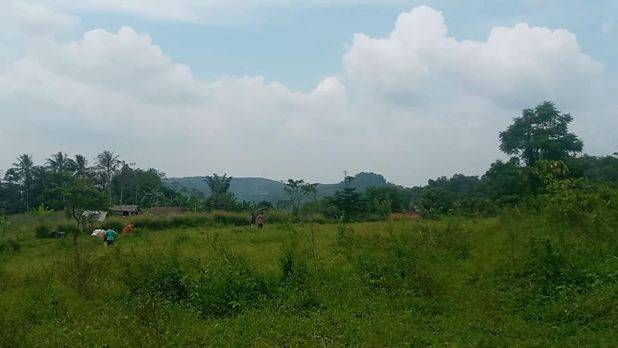 TANAH UNTUK PERTANIAN,KEBUN, TERNAK PEDESAAN PURWAKARTA