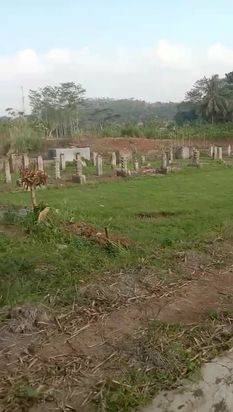 TANAH BEKAS TERNAK AUAM DAN DOMBA DI SUKATANI PURWAKARTA