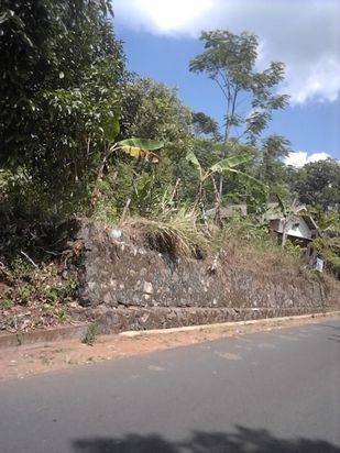 TANAH UNTUK RUMAH POTENSIAL UNTUK TEMPAT USAHA