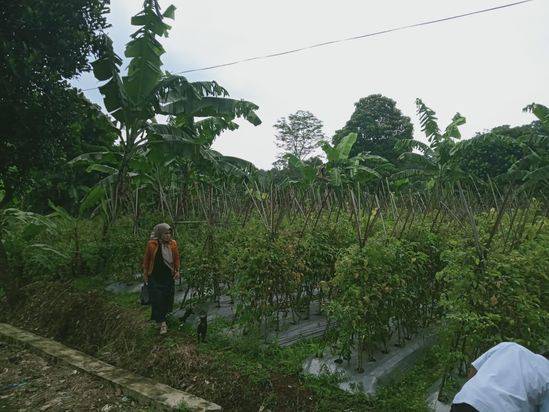 Tanah SHM Lokasi Caringin Area Strategis Harga mulai 1 jutaan