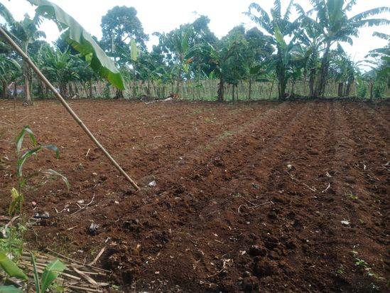 Tanah SHM Lokasi Caringin Area Strategis Harga mulai 1 jutaan