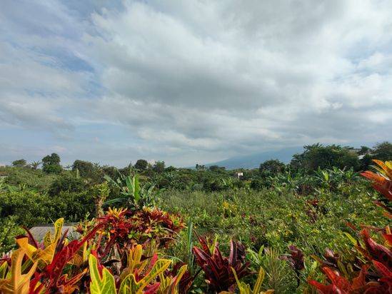 TANAH SUBUR HARGA BAIK DI REKESAN BUMIAJI KOTA BATU. 