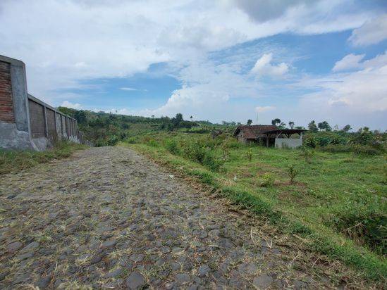 TANAH SUBUR HARGA BAGUS DI TLOGOREJO KECAMATAN BUMIAJI KOTA BATU. 