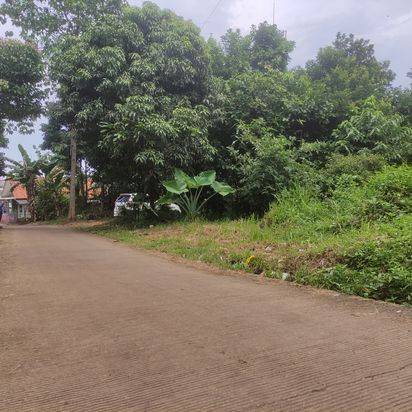 Tanah Bogor Di Jalan Raya Mampir Cileungsi Cocok Bangun Perumahan