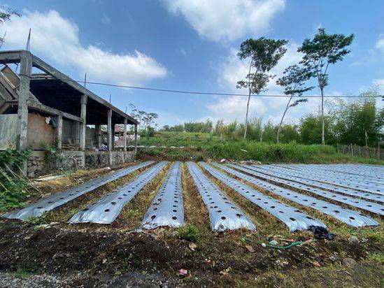 KAVLING DIJUAL CEPAT BUTUH UANG LOKASI STRATEGIS MALANG KOTA