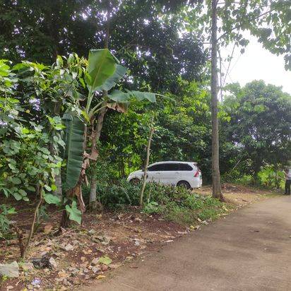 Jual Tanah Bogor 1Jt-an/m Area Cileungsi Lokasi Cocok Bangun Perumahan