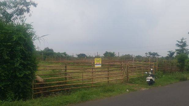 tanah luas siap bangun usaha 