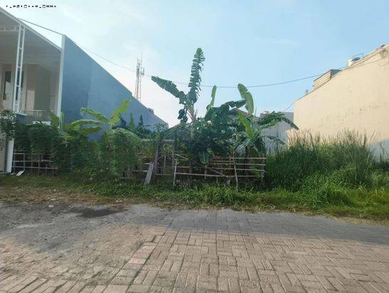 Tanah Manyar Indah, Row Jalan 2,5 Mobil