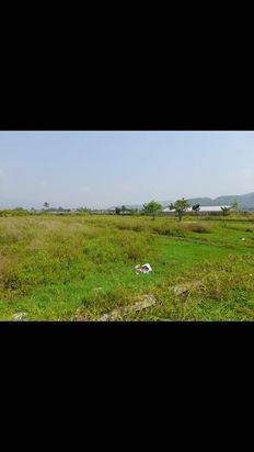 sawah di cibeber