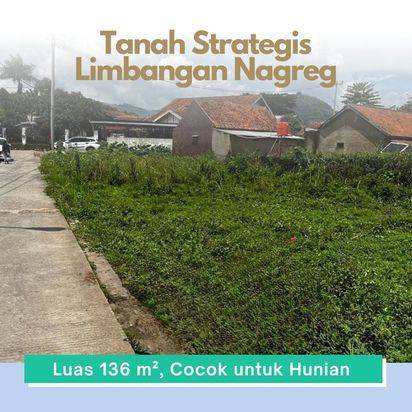 Tanah Cicalengka Limbangan 1 Juta an Cocok untuk Investasi