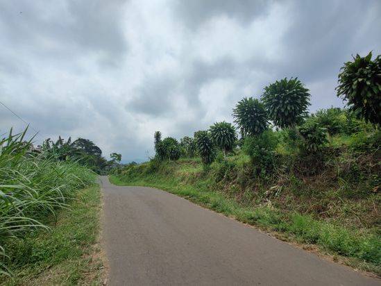 Tanah Super Murah Perkebunan Produktif View Bagus Lokasi di Malang