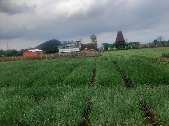 Lahan Luas Potensial Subur Strategis Dekat Dengan Jalan Raya di Kota Batu